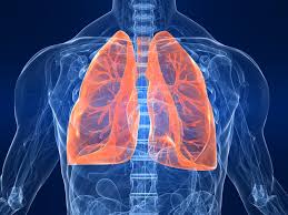 Black Lung Disease